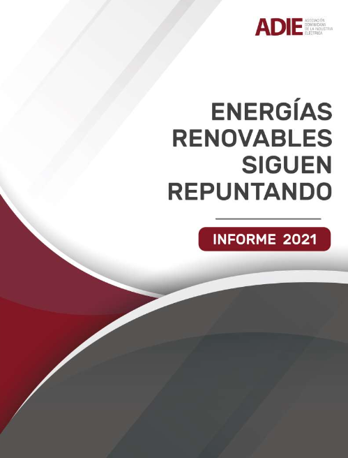 Informe Ene-Dic 2021